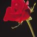 Jim Boardman - Facebook