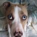 Jim Bogard - Facebook