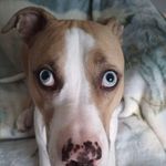 Jim Bogard - @bogardfarms - Instagram