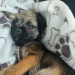 Jim the Border - @jimtheborder - Instagram