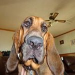Jim Borland - @jborland45309 - Instagram