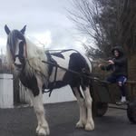 Jimmy Bosley O'Hanlon - @jimmybosley12 - Instagram