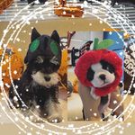 JIM&BOSS - @jim0731boss0810 - Instagram