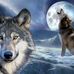 Jim Boston - Facebook