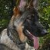 Jim Bott - Facebook