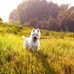 Jim Bott - Facebook
