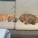 Jim Boudreaux - @jimboudreaux5 - Instagram
