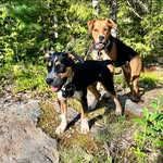 Jim Boule' - @jimborun - Instagram