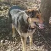 Jim Brooks - @jim.brooks2 - TikTok