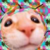 jimbudd* - @jimbudddd - TikTok
