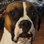 Jim Bunch - @jimbunch82 - Instagram