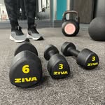 Gym Bunnies - @jim.bunnies2022 - Instagram