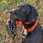 Jim Burris and Manu - @birddogs.and.flyrods - Instagram