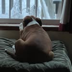Jim Burt - @jimmybig65 - Instagram