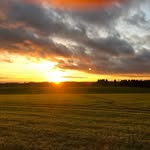 Jim Calvert - @whereitgrows - Instagram