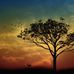Jim Carlin - Facebook