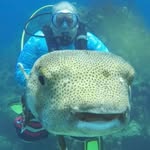 Jim Carozza - @jimcarozza - Instagram