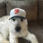 Jim Champion - @jim_dad_champion - Instagram