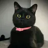 @jimmyschavez - @jimmys_5 - TikTok