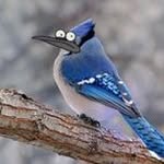 Jim Cheney - @cheney_jim - Instagram
