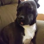Jim Chiles - @james.chiles1969 - Instagram