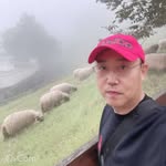 Jim Chung - @jimchung7979 - Instagram