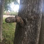 Jim Claypool - @jim.claypool.9404 - Instagram