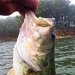Jim Clevenger - @jim.clevenger - Instagram