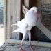 Jim Clinton - Facebook