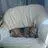 Jim_Cloudi - @jim_cloudi - TikTok