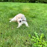 Holly and Jim Clune - @holly_and_jim_c - Instagram