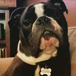 Jim Clune - @jimclune1975 - Instagram