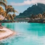 James Eddy Collard - @jameseddycollard - Instagram