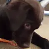 Jim McCollum - @jim.mccollum6 - TikTok