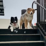 Jim Colvin - @jimcolvin - Instagram