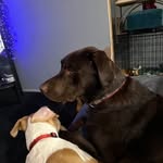 Jim Compton - @jimcompton - Instagram