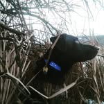 Jim Compton - @jms_cmptn - Instagram