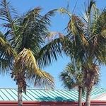 Jim Conner - @conner.jim - Instagram