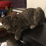 Jim - @jim_contest - Instagram