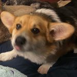 Jim Cornell - @cornell1970 - Instagram