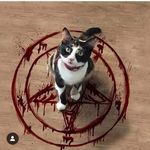 jim coston - @jim_coston - Instagram