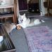Jim Crane - Facebook