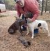 Jim Crane - Facebook