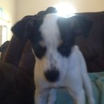 Jim Criswell - @jim_cri - Instagram