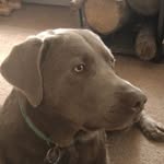 Jim Crowder - @jcrowder69 - Instagram