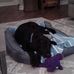 Jim Crowder - Facebook