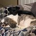 Jim Cullison - Facebook