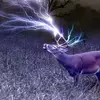 Jim Dammann - @jim.dammann - TikTok