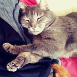 Jim Darcy - @jims2005mail - Instagram