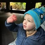 jim darcy - @baron_von_redbeard - Instagram